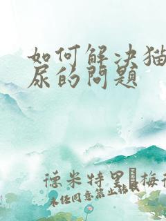 如何解决猫咪乱尿的问题