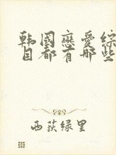 韩国恋爱综艺节目都有哪些