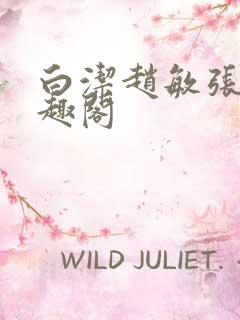 白洁赵敏张倩笔趣阁