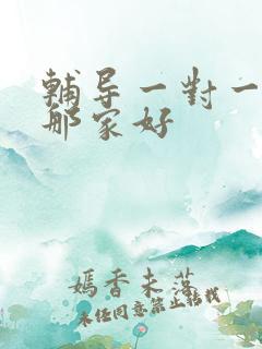 辅导一对一上门那家好