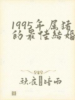 1995年属猪的最佳结婚年龄