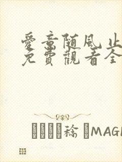 爱意随风止短剧免费观看全集高清