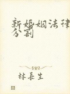 新婚姻法律财产分割