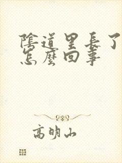 阴道里长了红点怎么回事