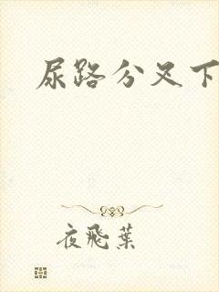 尿路分叉下边痛