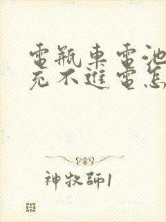 电瓶车电池亏电充不进电怎么办