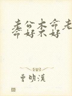 老公木命老婆金命好不好