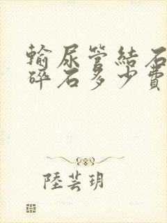 输尿管结石体外碎石多少费用