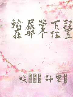 输尿管下段结石在哪个位置