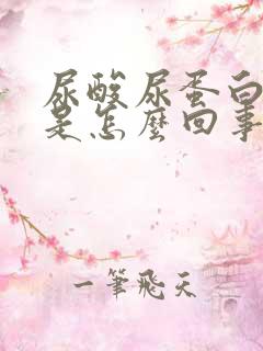 尿酸尿蛋白偏高是怎么回事