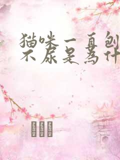 猫咪一直刨猫砂不尿是为什么