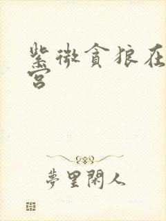 紫微贪狼在官禄宫