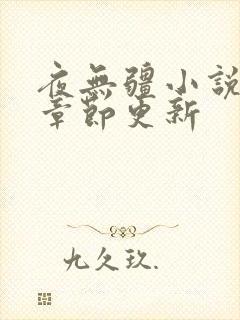 夜无疆小说最新章节更新