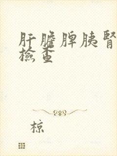 肝胆脾胰肾彩超检查