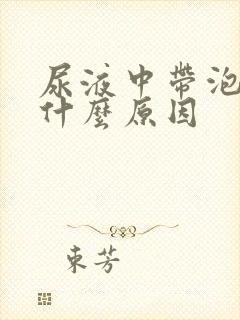 尿液中带泡沫是什么原因