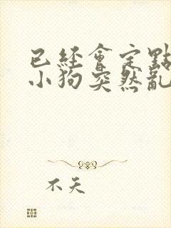 已经会定点尿的小狗突然乱尿