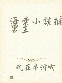 海棠小说推荐双男主