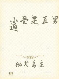 小受是直男攻强迫