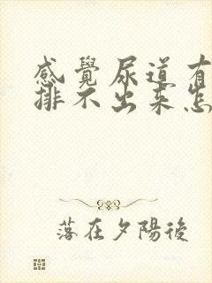 感觉尿道有结石排不出来怎么办