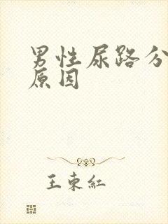 男性尿路分叉的原因