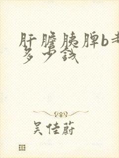 肝胆胰脾b超要多少钱