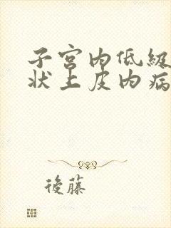 子宫内低级别鳞状上皮内病变