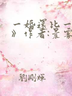 一婚还比一婚高》作者:晨雾的光