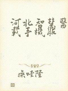 河北智慧医保下载手机版