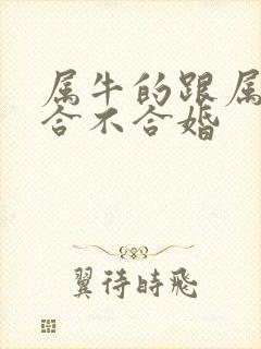 属牛的跟属猴的合不合婚