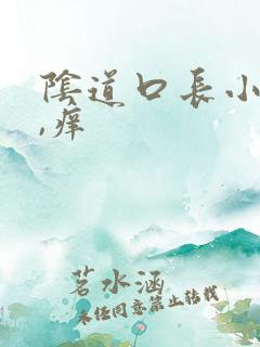 阴道口长小颗粒,痒