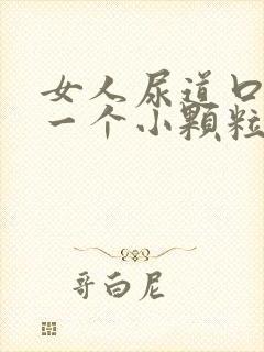 女人尿道口上长一个小颗粒