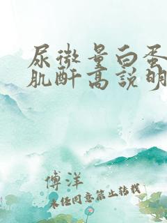 尿微量白蛋白/肌酐高说明什么问题