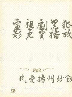 电视剧黑狐之风影免费播放