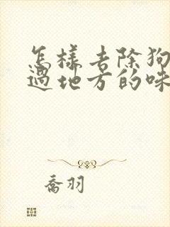 怎样去除狗狗尿过地方的味道