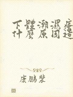 下体潮湿瘙痒是什么原因造成的