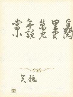 当年万里觅封侯小说免费阅读无弹窗