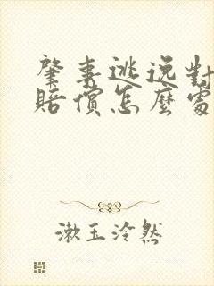 肇事逃逸对方不赔偿怎么处理