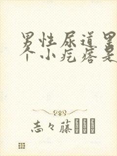 男性尿道里长了个小疙瘩是什么