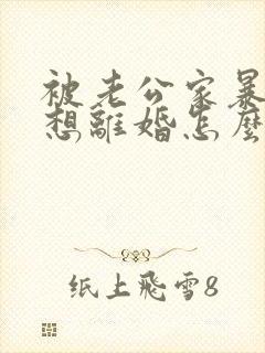 被老公家暴了我想离婚怎么办