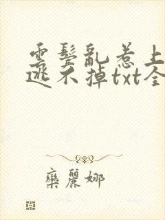 云鬓乱惹上奸臣逃不掉txt全本