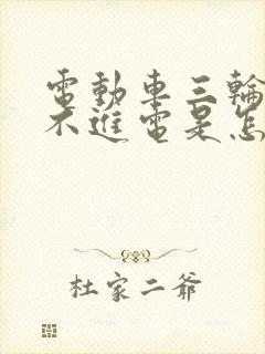 电动车三轮车充不进电是怎么回事