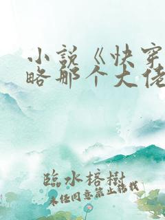小说《快穿之攻略那个大佬》