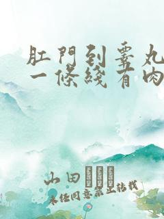 肛门到睾丸中间一条线有肉粒