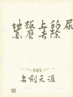 地板上的尿骚味怎么去除