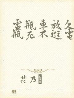 电瓶车放久了电瓶充不进电怎么办