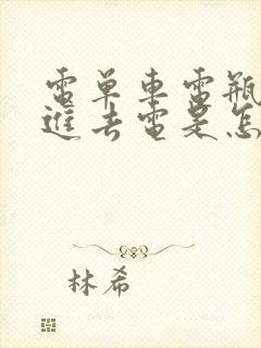 电单车电瓶充不进去电是怎么办