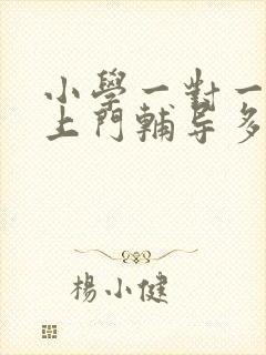 小学一对一家教上门辅导多少钱一小时