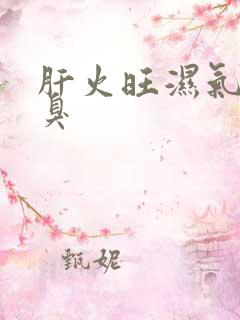 肝火旺湿气重口臭