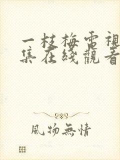 一枝梅电视剧全集在线观看免费高清