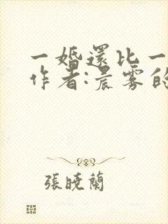 一婚还比一婚高作者:晨雾的光
